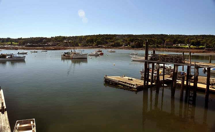 harbor scene